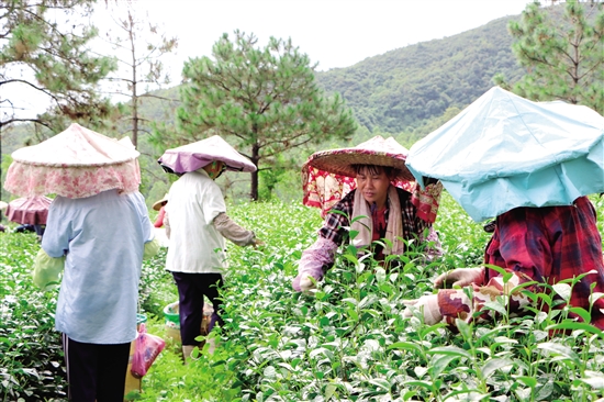 揭阳欧厝村图片