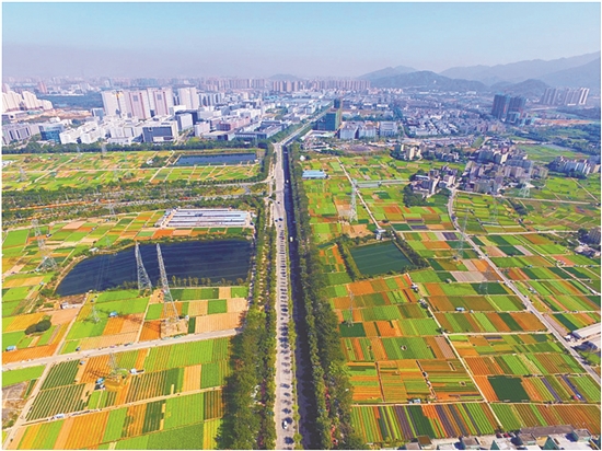 龙田街道打造休闲农业旅游基地  龙田街道供图