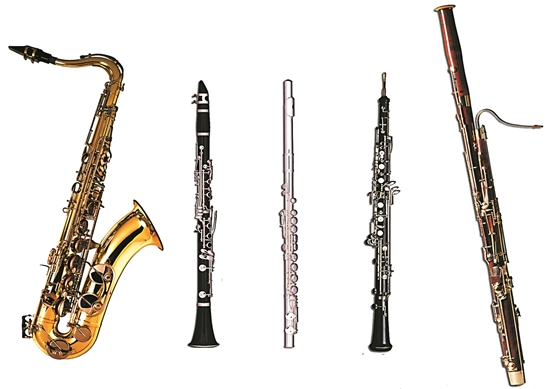 交响乐团木管乐器由左至右:萨克斯管,单簧管,长笛,双簧管,大管