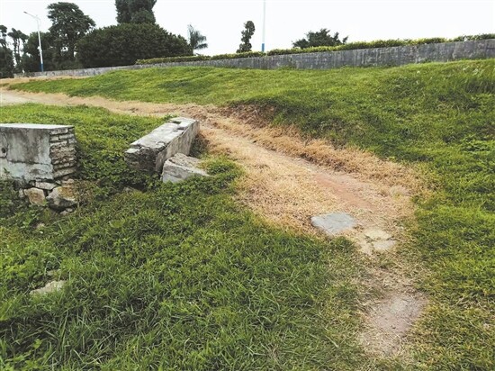 河灘荒地變城市綠肺